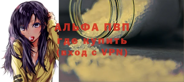 молекула духа Богородицк