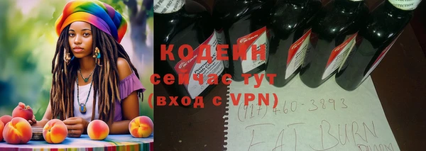 молекула духа Богородицк