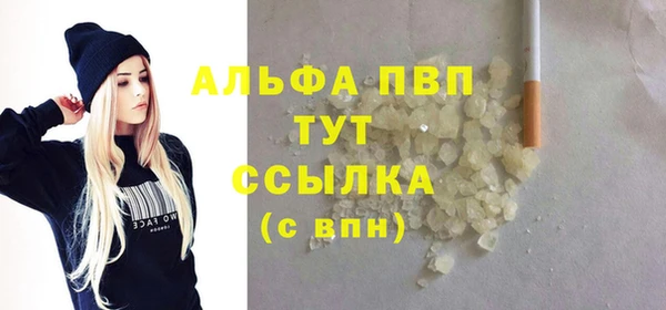 молекула духа Богородицк