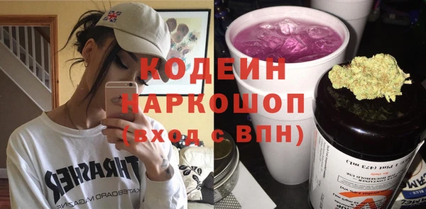 молекула духа Богородицк
