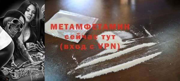 молекула духа Богородицк