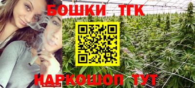 винт Гатчина